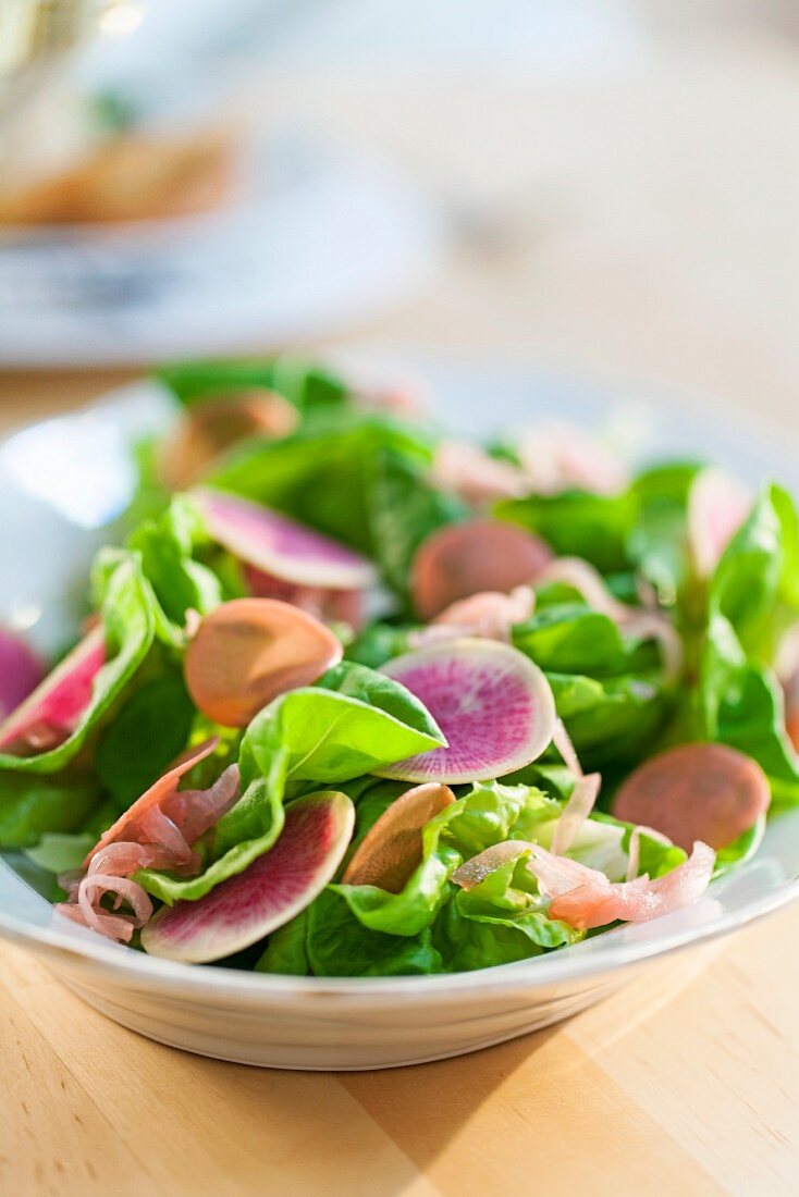 Kopfsalat mit Möhren- und Rote-Bete-Scheiben