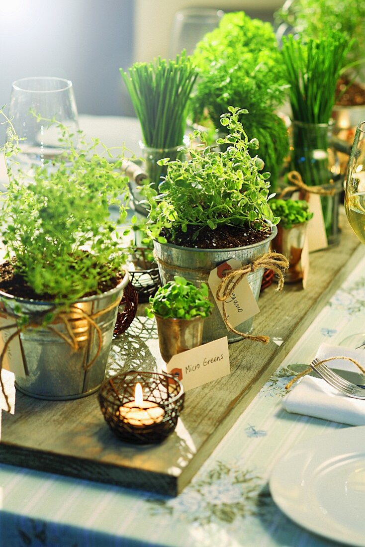 Various herbs in metal pots on a laid table