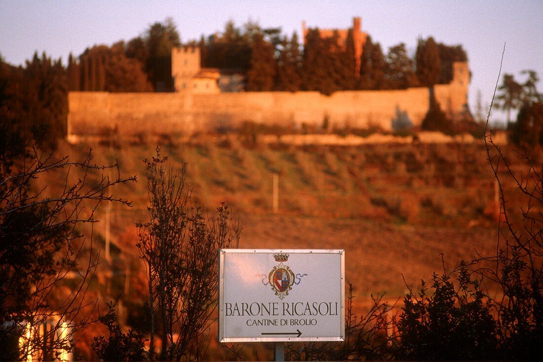 Ricasoli vineyard Castello di Brolio, Chianti Classico, Tuscany
