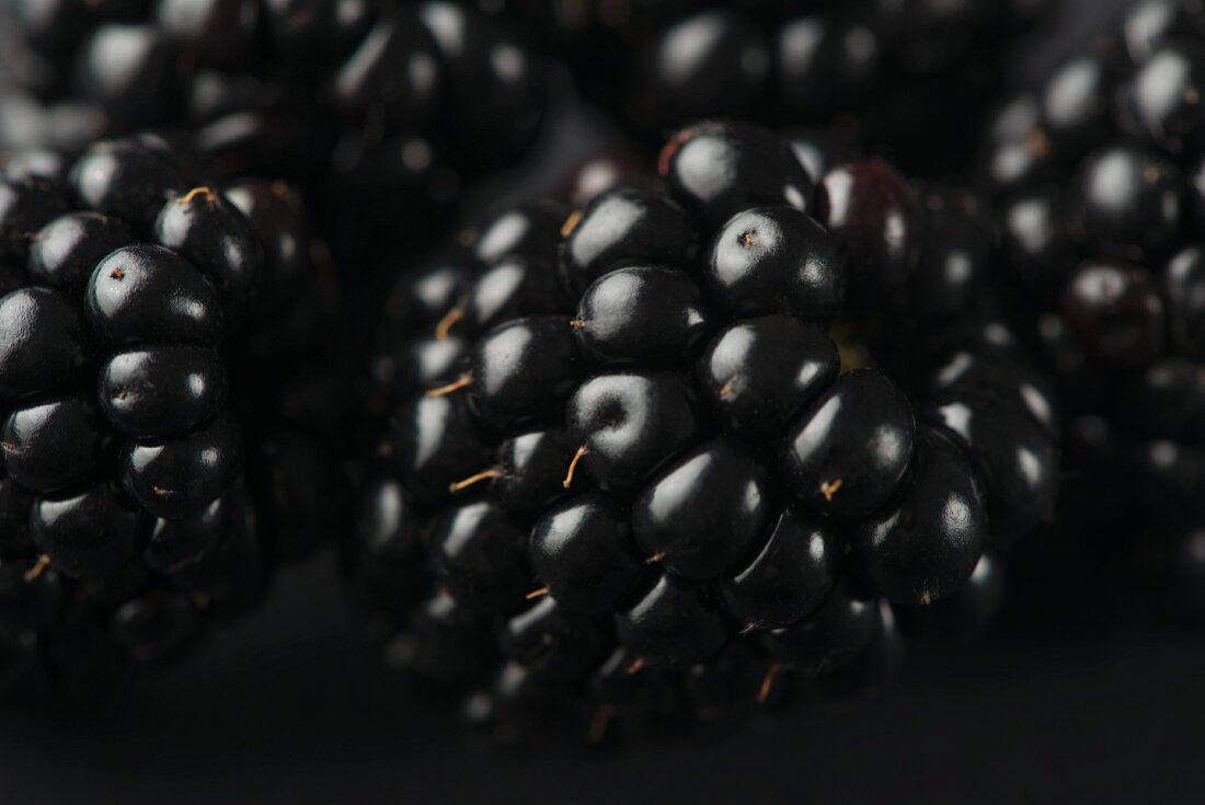 Brombeeren (Close Up)