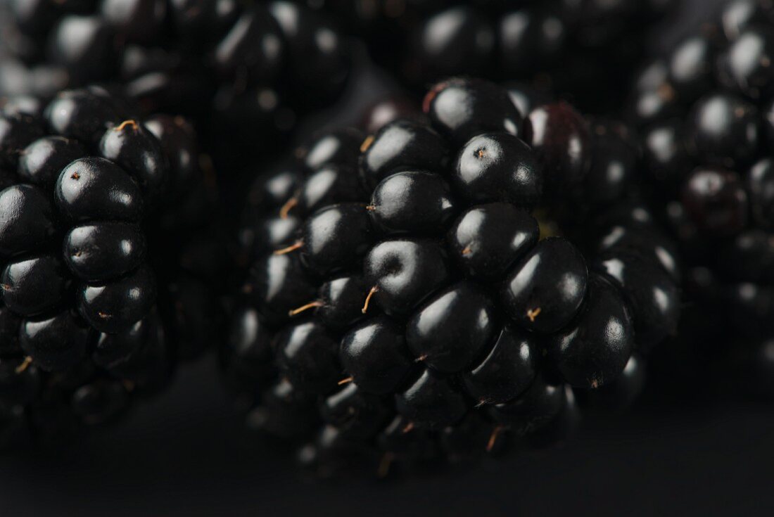 Fresh Blackberries; Close Up