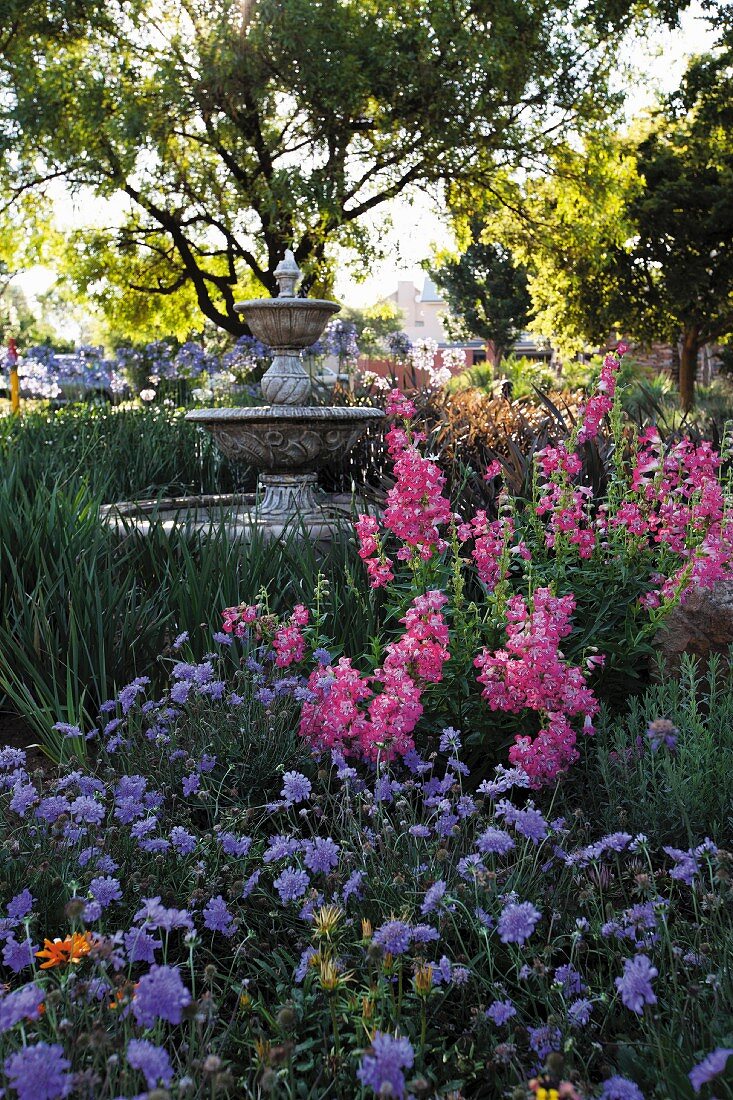 Fountain in flowering romantic garden