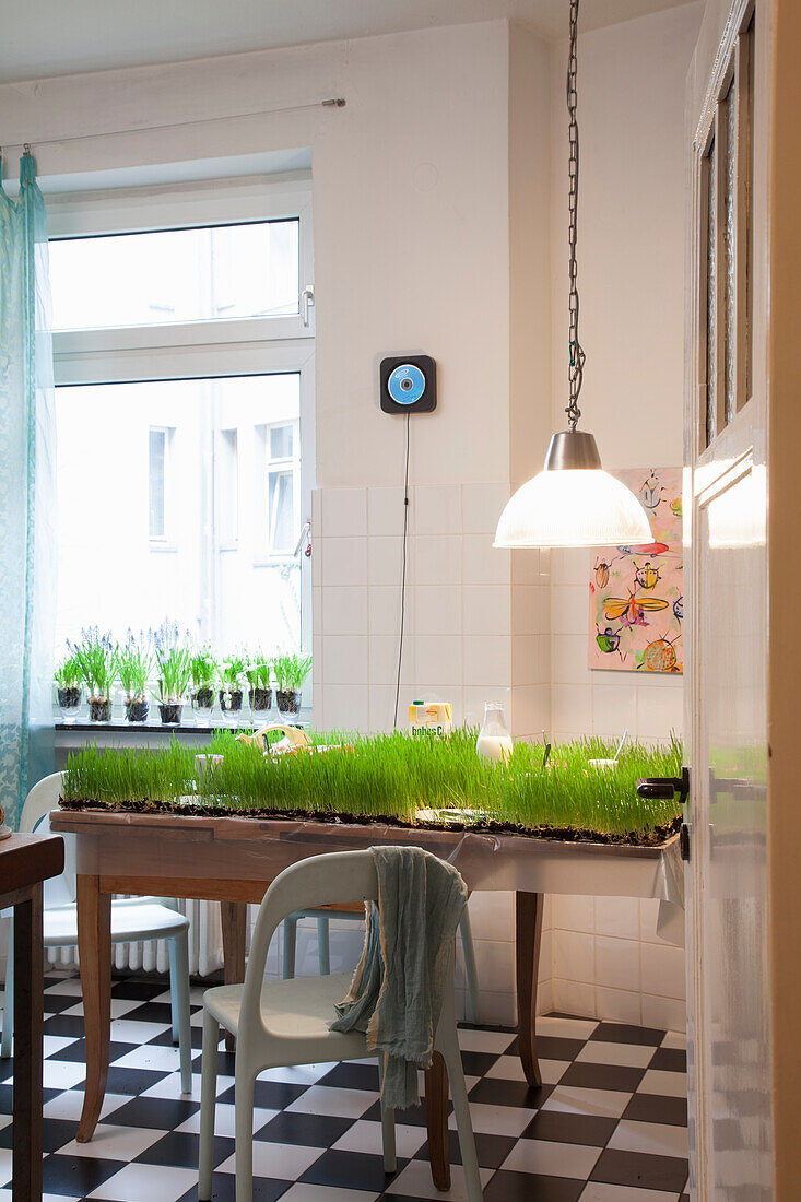 A dining table planted with grass with a pendant lamp hanging above it in a renovated period building apartment
