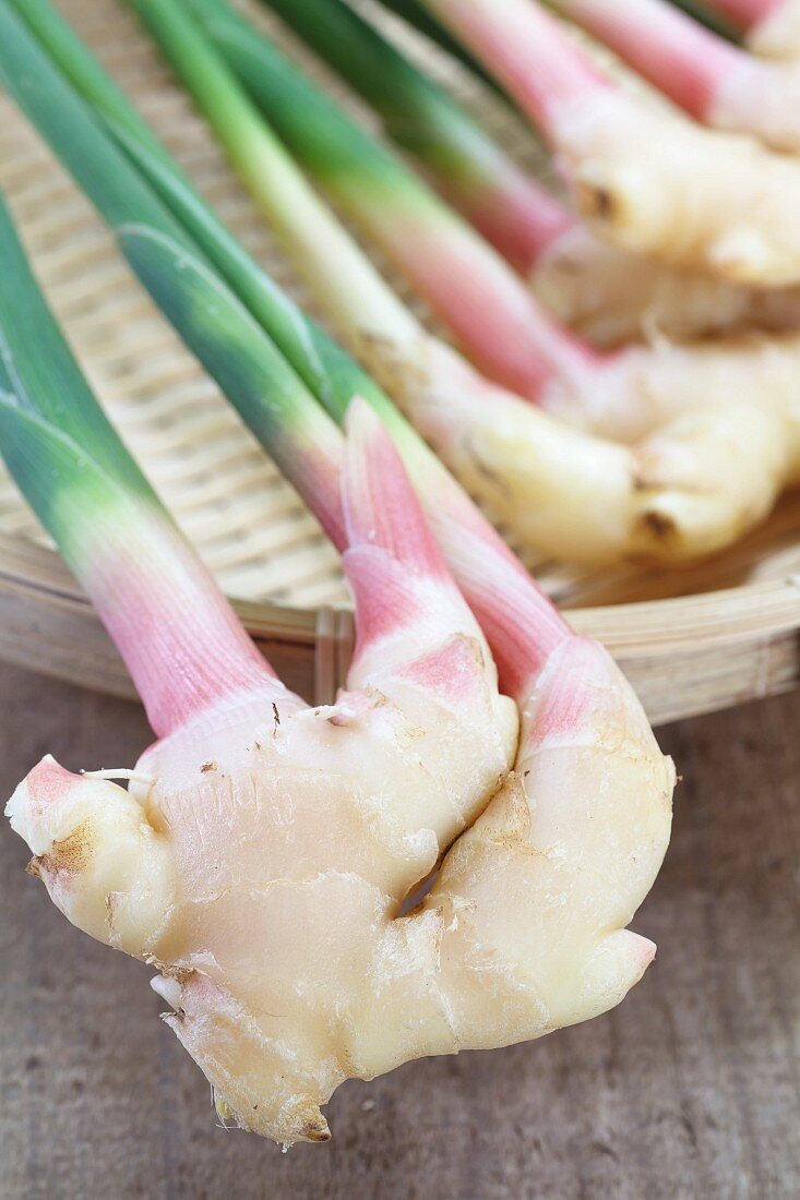 Fresh ginger roots with stems