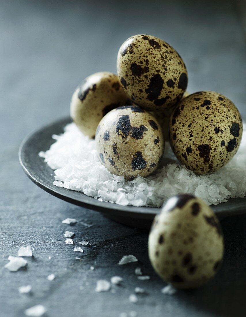 Quail's eggs on salt