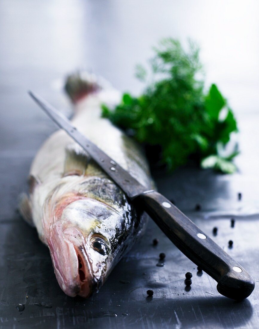 Roher Fisch, Kräutersträusschen und Pfefferkörner