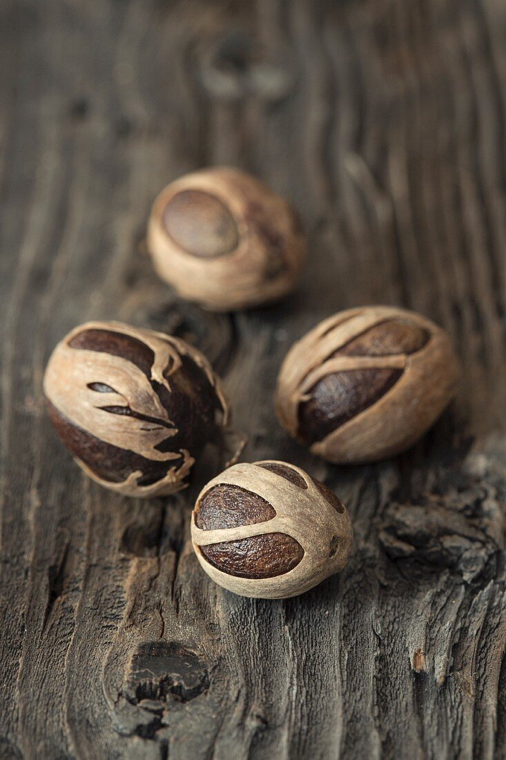 Nutmegs in dried flowers