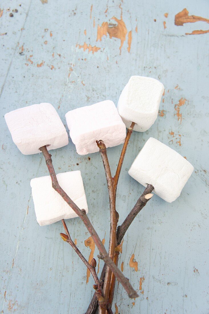 Marshmallows auf Holzstöckchen