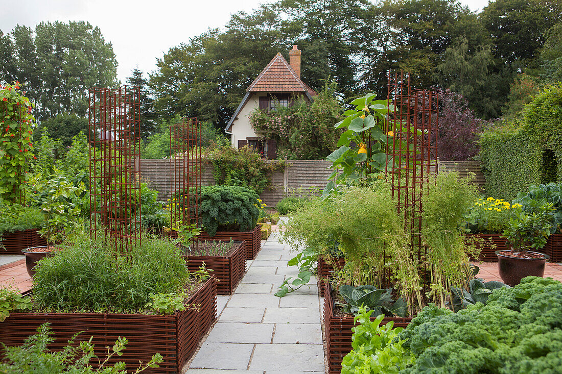 Vegetables growing in raised bed edged by woven iron rods