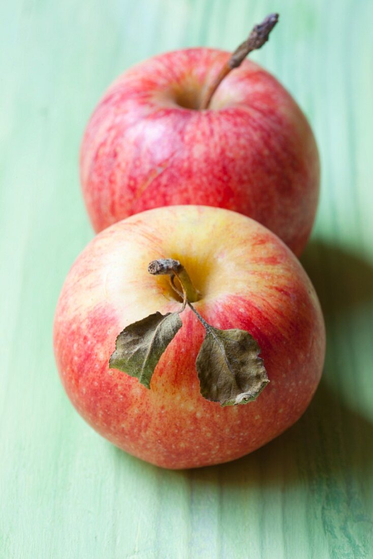 Two organic apples with stems and leaves