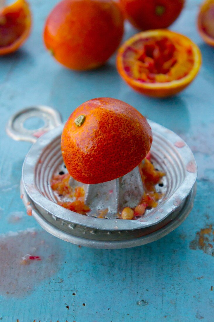 An arrangement of blood oranges and an orange press