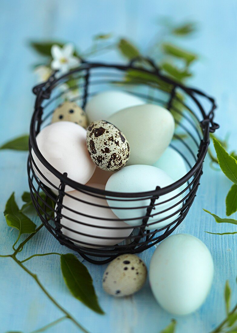 Eggs in a wire basket