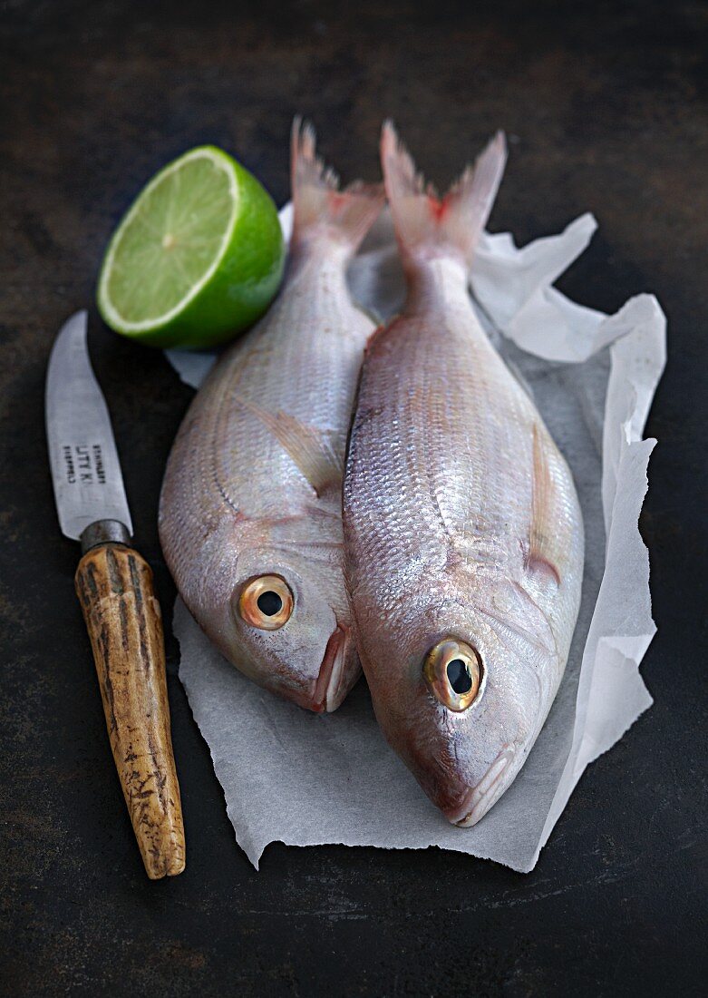 Two fish with half a lime and a knife