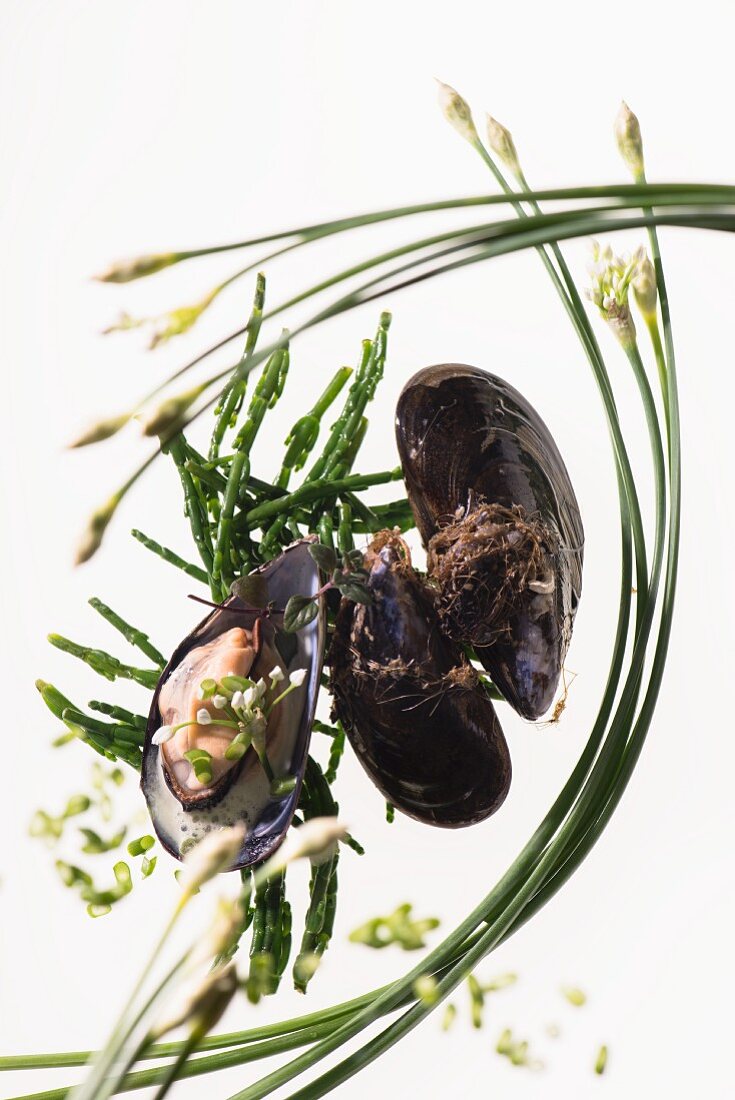 Mussels and chives