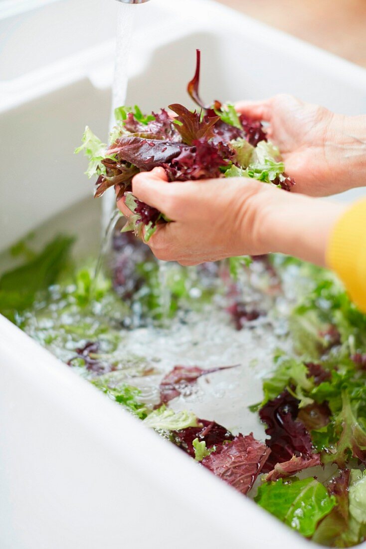 A woman washing lettuce in a sink