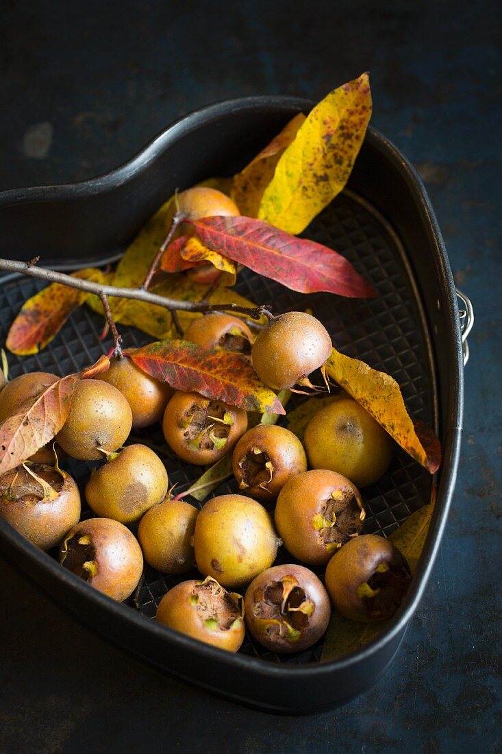 Fresh medlars with a sprig of leaves in a heart-shaped baking tin