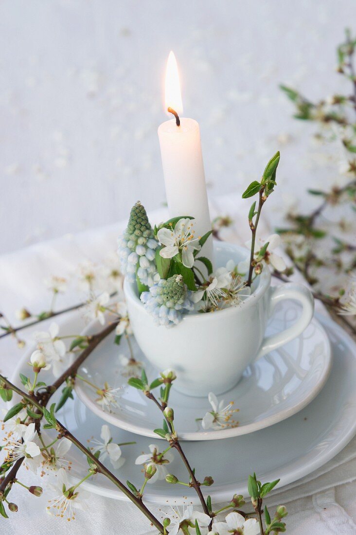 Lit candle in teacup decorated with grape hyacinths and branches of blackthorn blossom