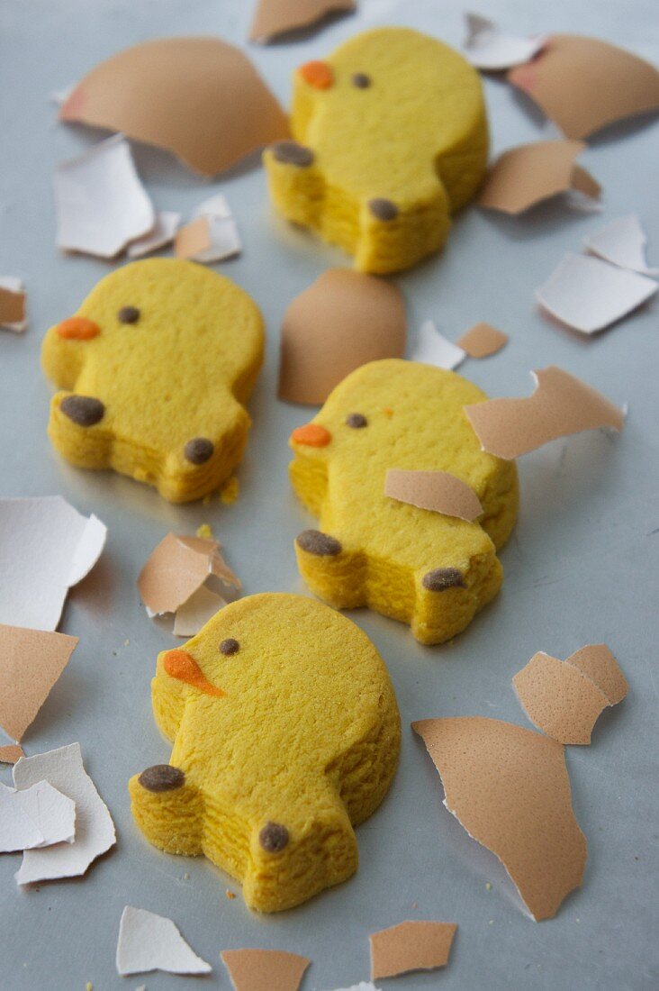 Chick biscuits and pieces of egg shells