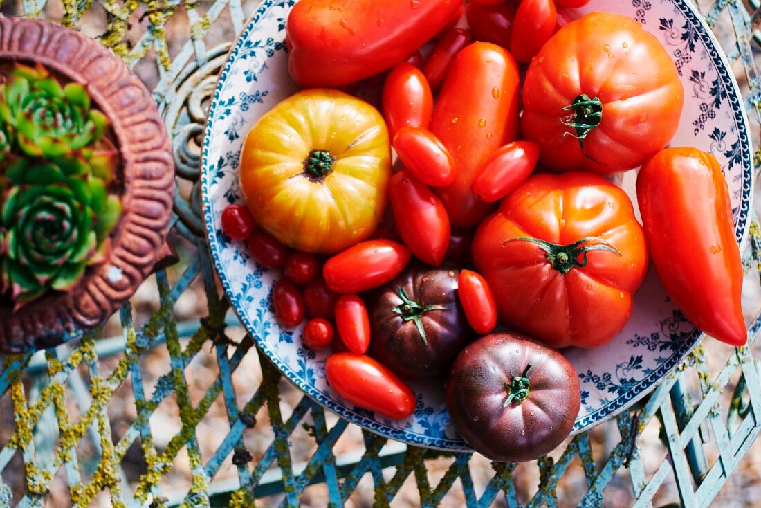 Various fresh tomatoes in a porcelain bowl (seen from above)