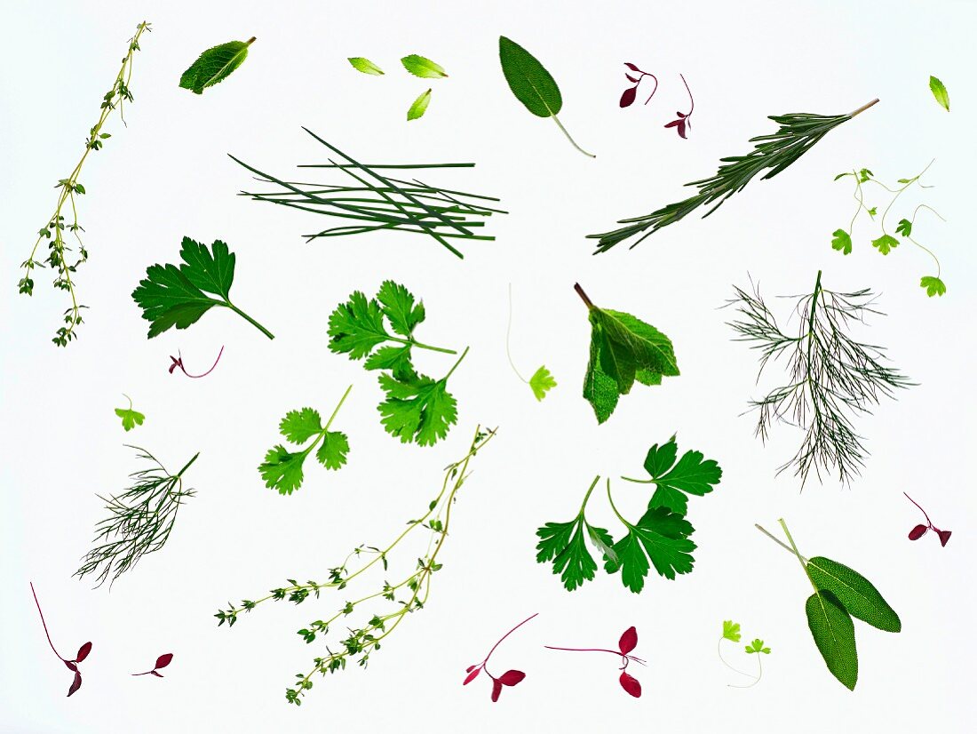 Various fresh herbs on a white surface (seen from above)
