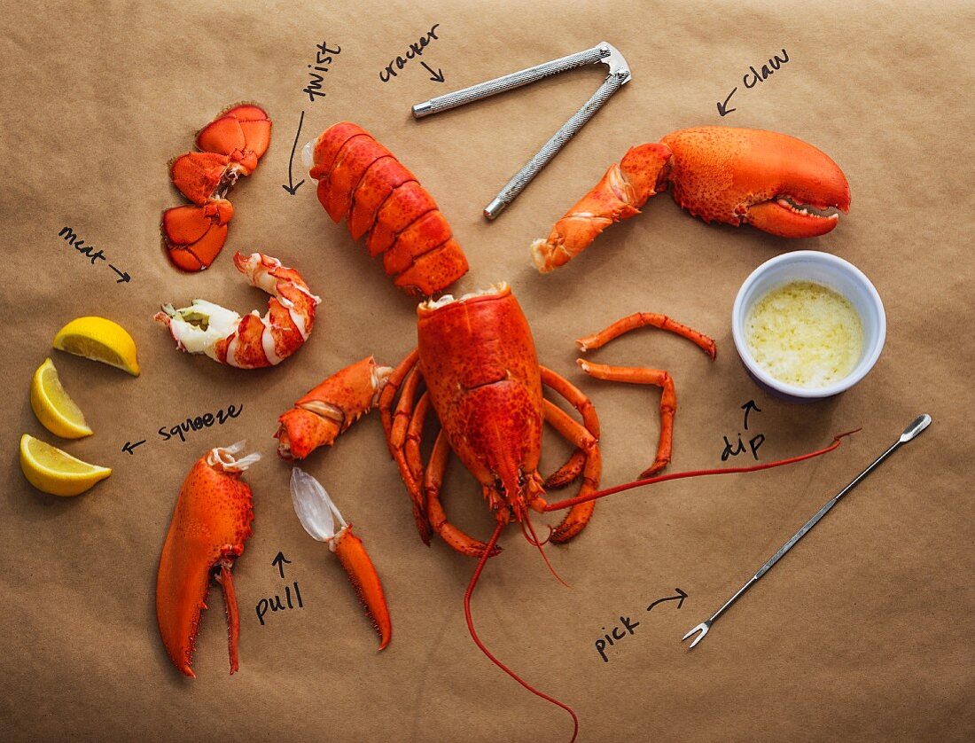 A cut-up lobster with lobster cutlery, a dip and labels
