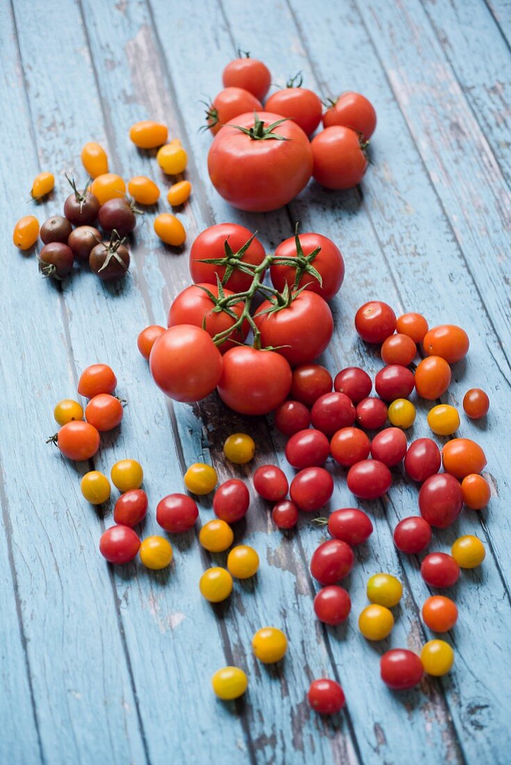 Various tomatoes on a blue wooden table
