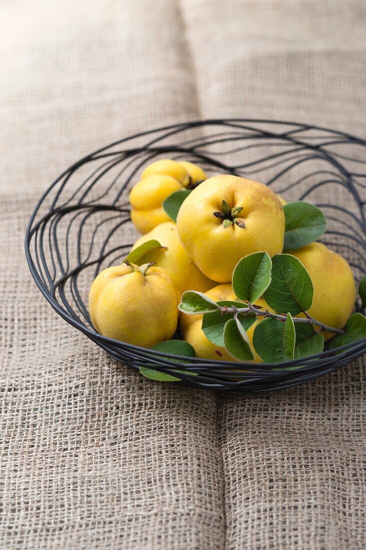 Quinces with leaves on a wire basket