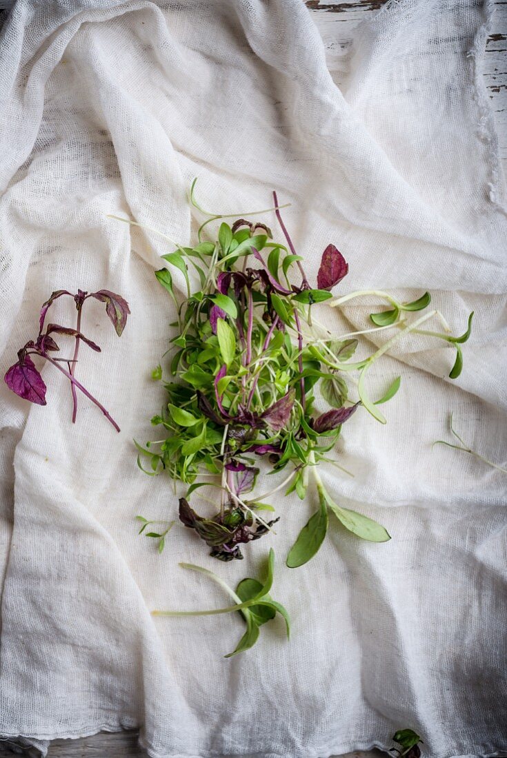 Various types of cress on a muslin cloth