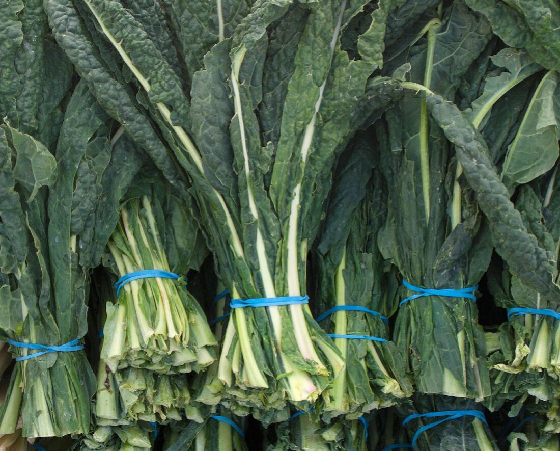 A bundle of black kale leaves