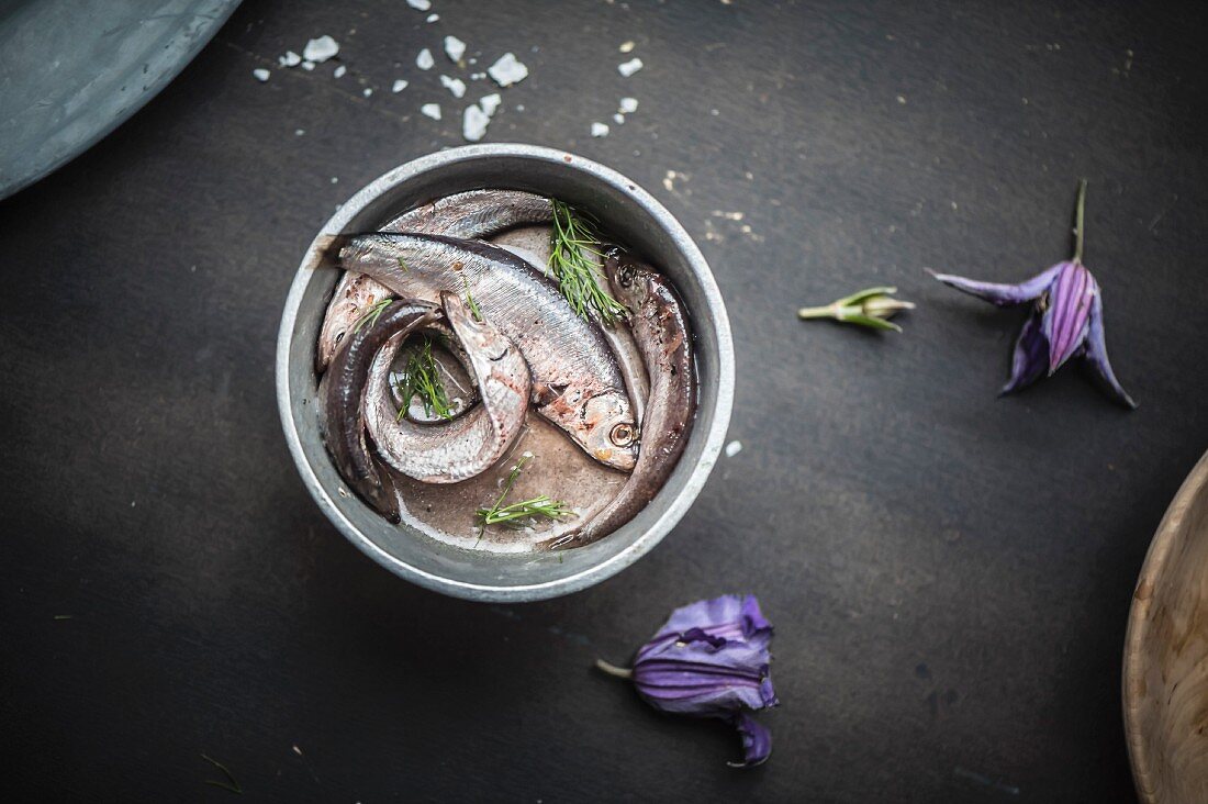 Pickled anchovies in a metal pot (seen from above)