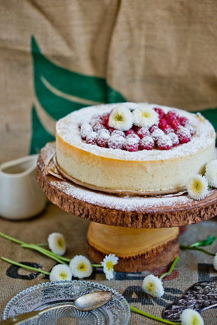 Millet cake with raspberries and bellis