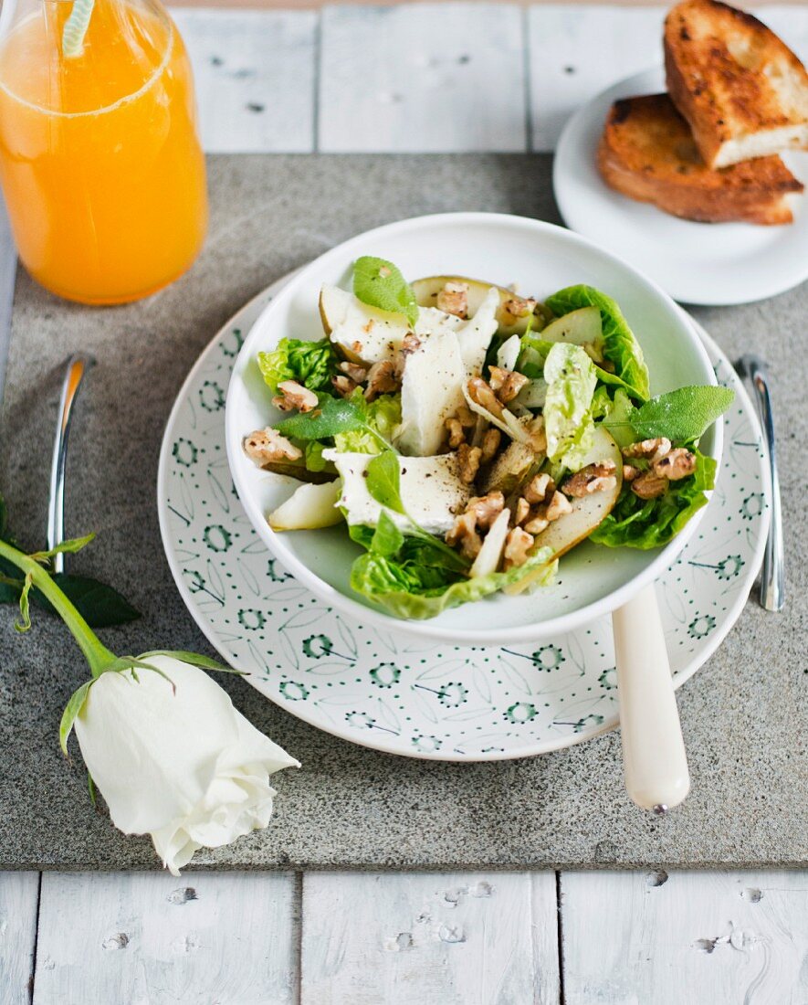 Mixed leaf salad with fennel and Camembert