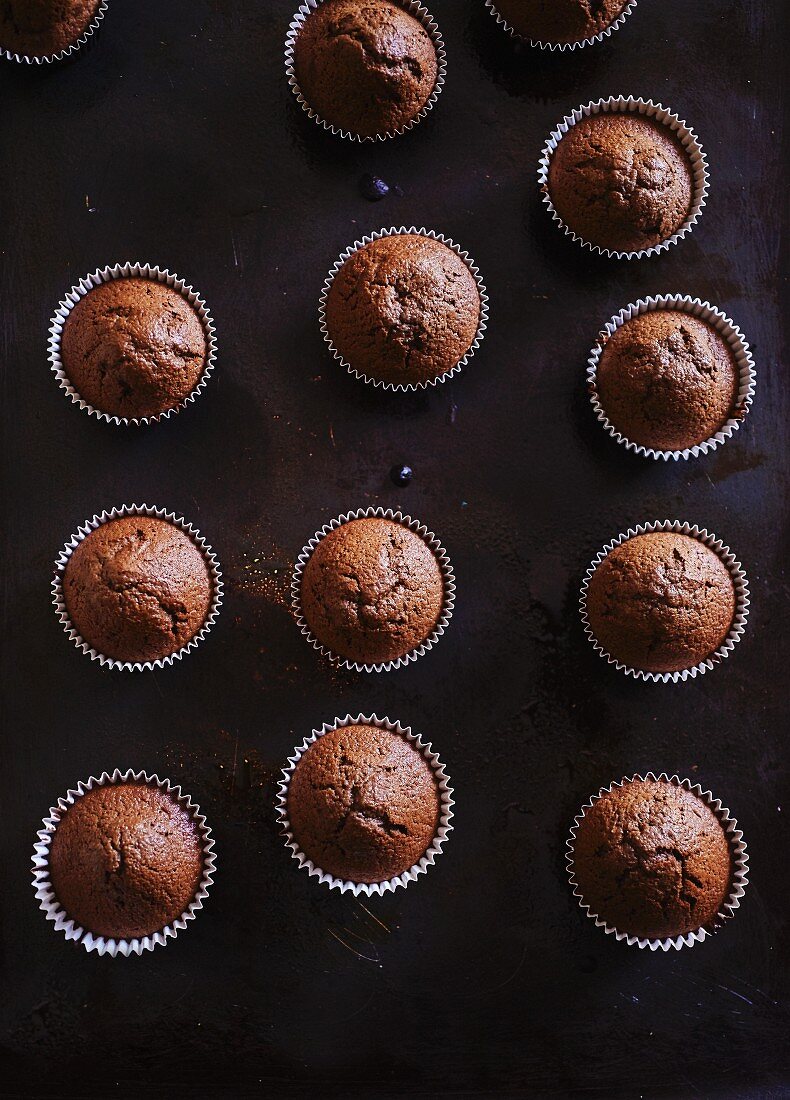 Mehrere Schokoladenmuffins (Draufsicht)