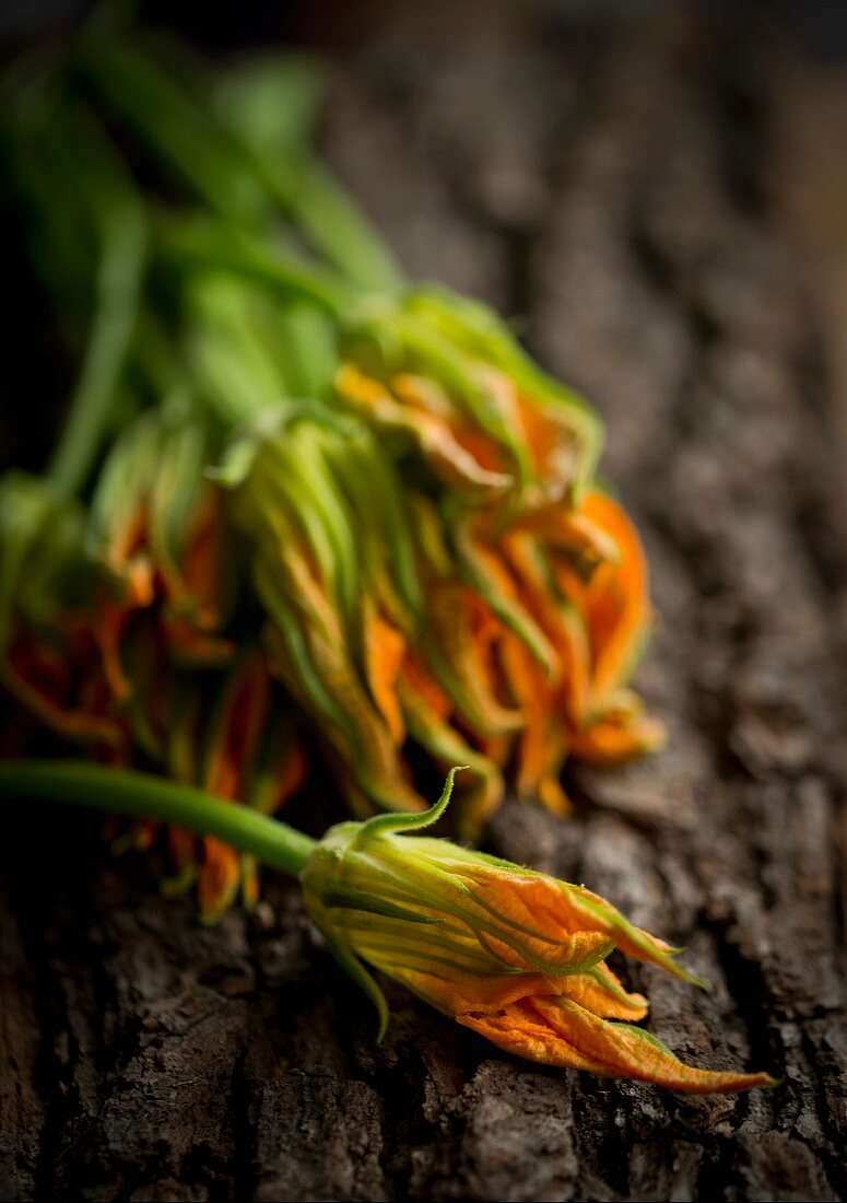 Courgette flowers on a piece of bark