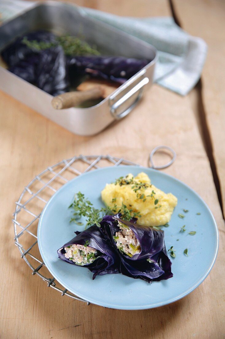 Red cabbage roulade filled with minced meat and herbs