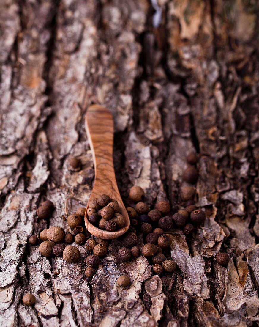 Allspice on a wooden spoon on a piece of bark