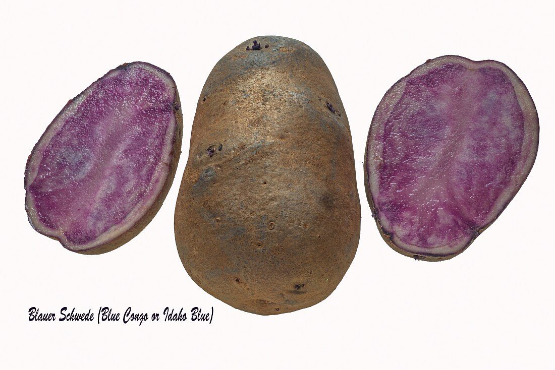 Blue Congo potatoes on a white surface