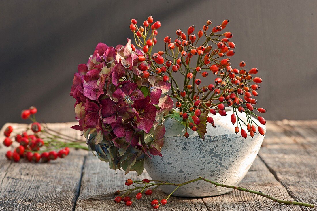 Rose hips and hydrangeas in vase on wooden table