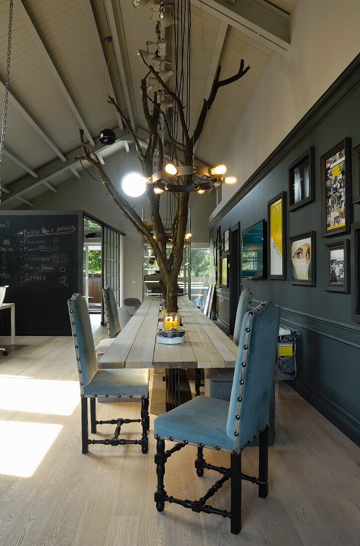Lange Esstafel aus hellem Holz mit integrierten Baumstämmen und gepolsterte Stühle mit hellblauem Bezug in loftartigem Raum