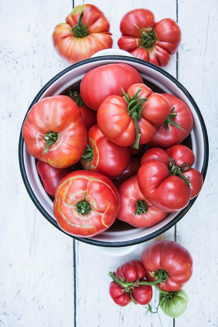 Tomaten im Topf