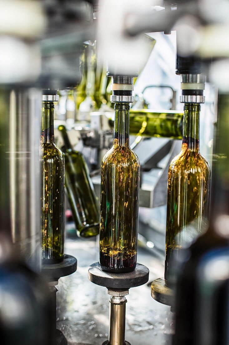 A wine bottling plant