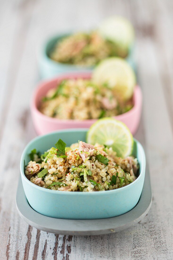 Quinoa tabbouleh with tuna fish