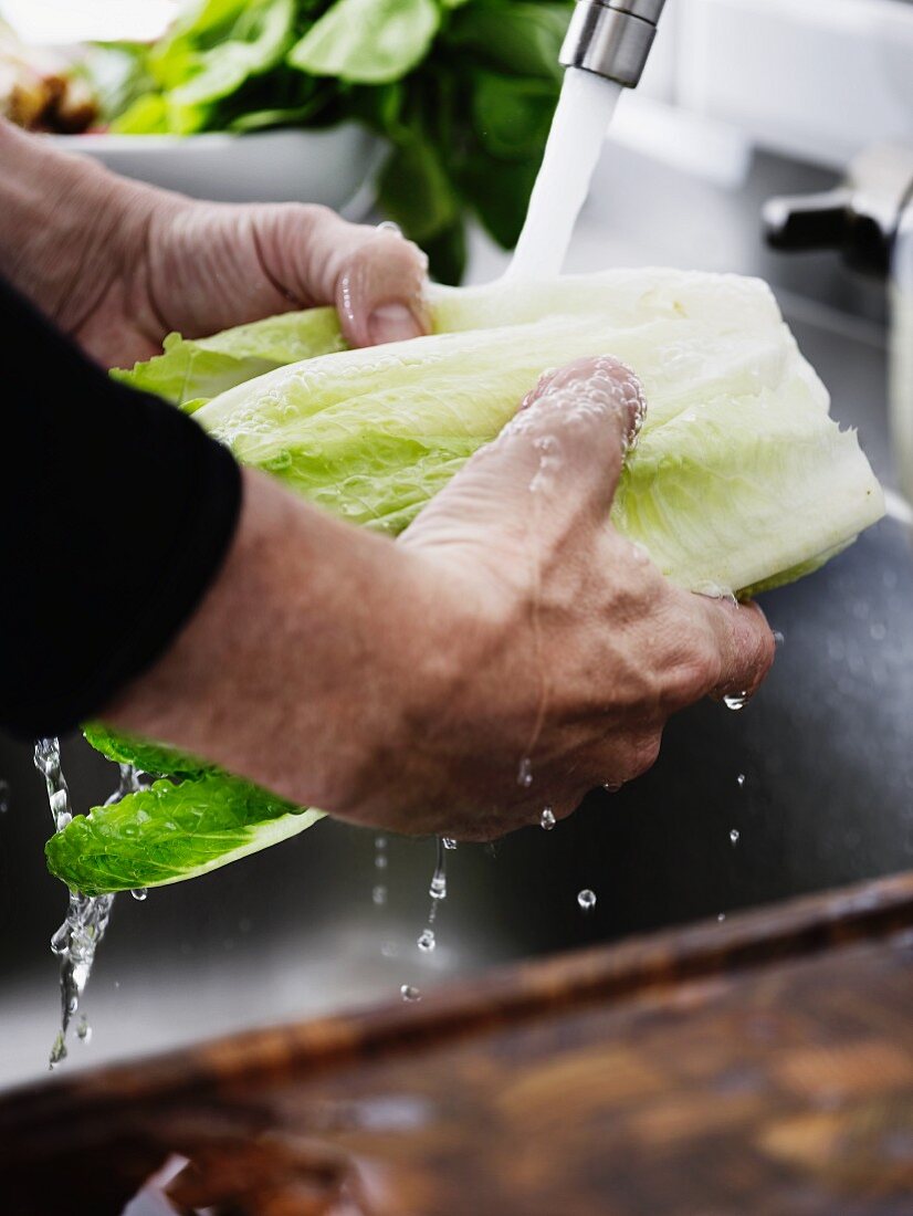 Mann wäscht Romanasalat unter fliessendem Wasser in Küchenspüle