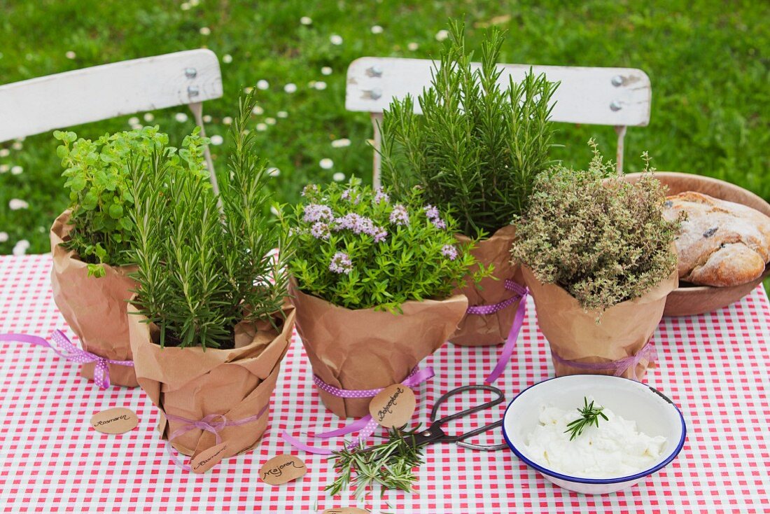 Various potted herbs wrapped in brown paper on table with gingham tablecloth outdoors