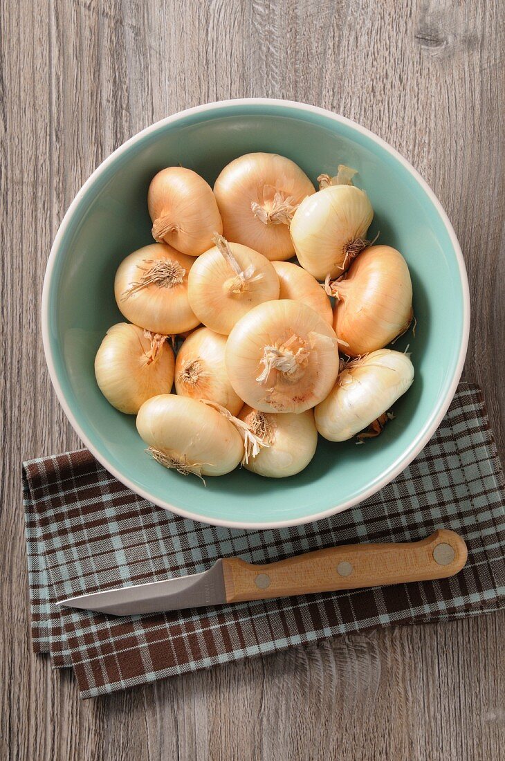 Onions on a turquoise plate