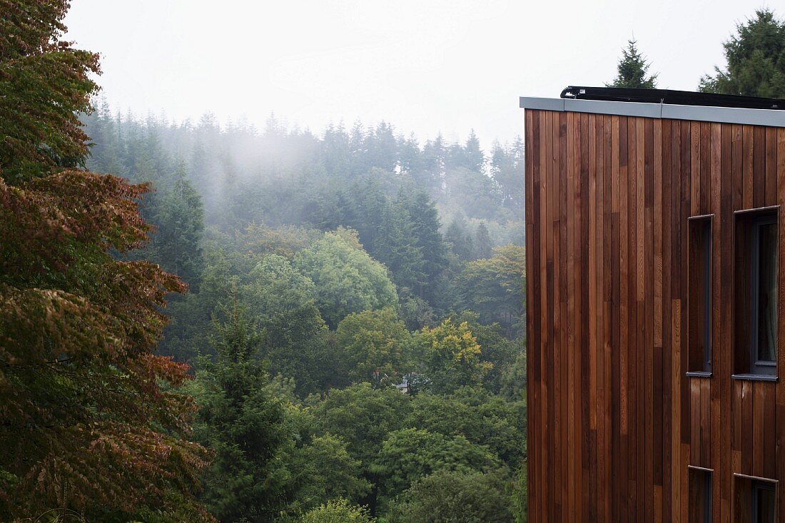 Modern wooden house in woodland landscape