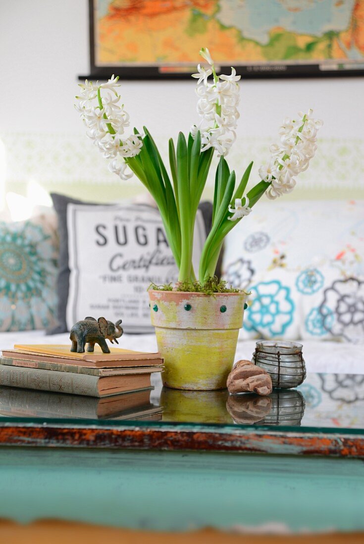 White hyacinths in painted terracotta pot, old books and elephant figurine on glass table top in vintage atmosphere