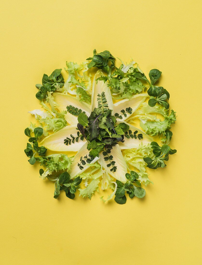 Various types of lettuce decoratively arranged on a yellow surface