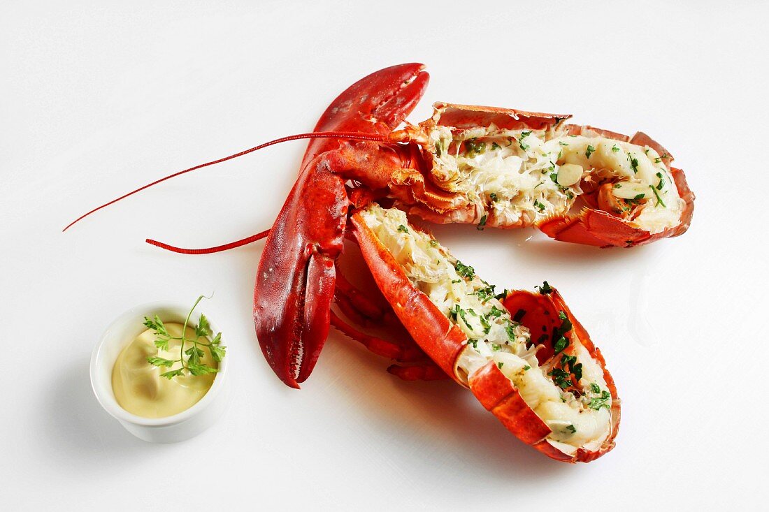 Lobster with mayonnaise
