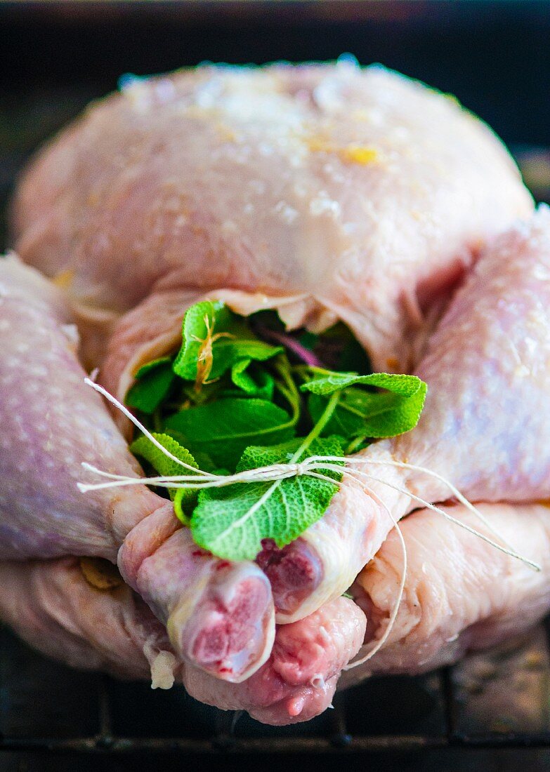A chicken with a herb filling, ready to roast